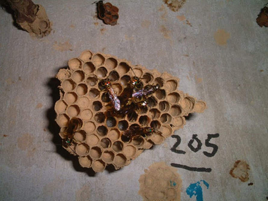 Kuva: <span class="photographer">Adam Cronin, UCL</span>