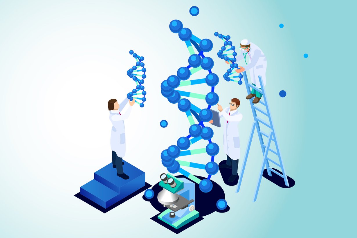 Dna:n rakenne selvisi 1953, perimän emäsjärjestys 2004. Siitä pitäen on tutkittu toimintaa. Kuva: Shutterstock