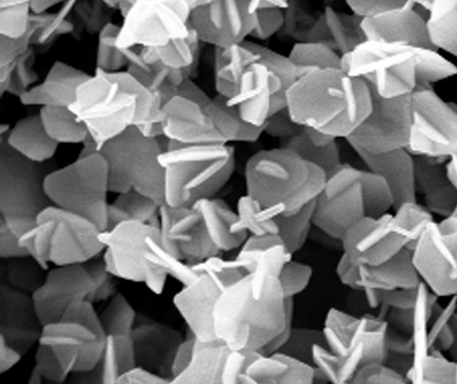 Mikroaaltouunilla valmistetut uudet nanomateriaalit pohjautuvat kuvassa erottuviin nanolevyihin.