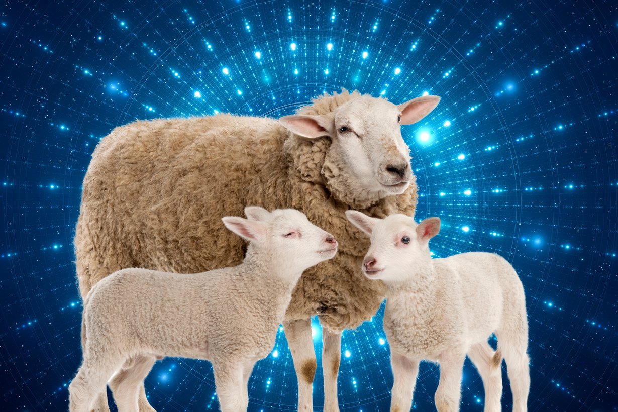 Se pieni ero piilottelee mitokondriossa. Kuva: Shutterstock