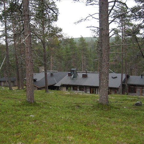 Yöperhosten kantoja kartoitettiin Sallan Värriössä vuosina 1978–2009. Kuva: <span class="photographer">MPorciusCato, Wikimedia Commons</span>