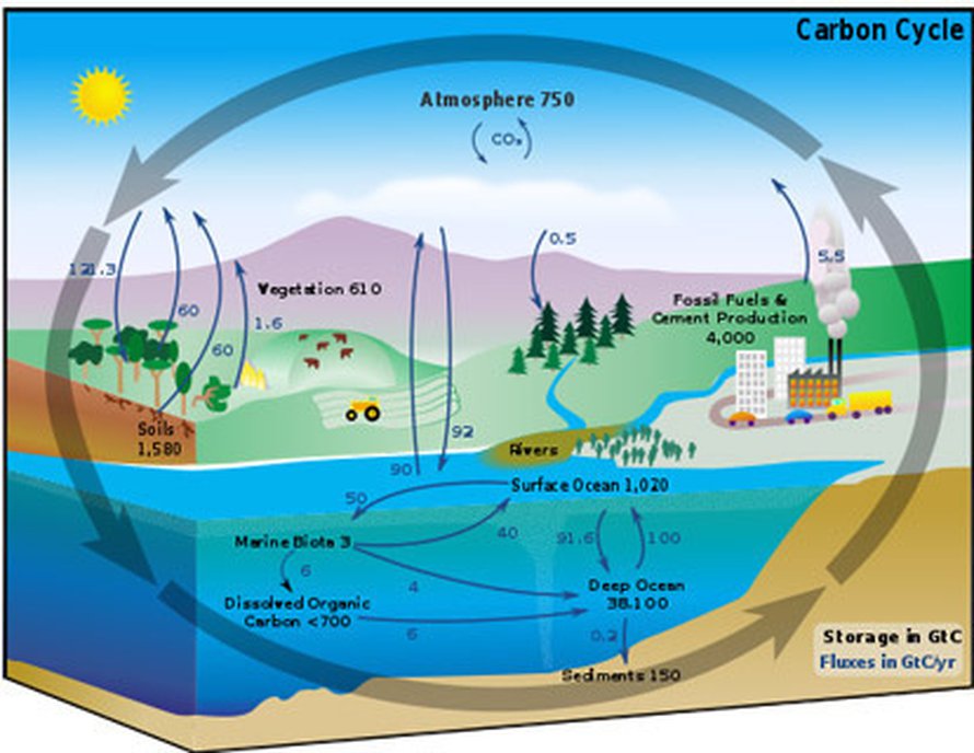 Hiilen kiertokulku. Kuva: <span class="photographer"><A HREF=http://en.wikipedia.org/wiki/Carbon_cycle>Wikimedia Commons</A>.</span>