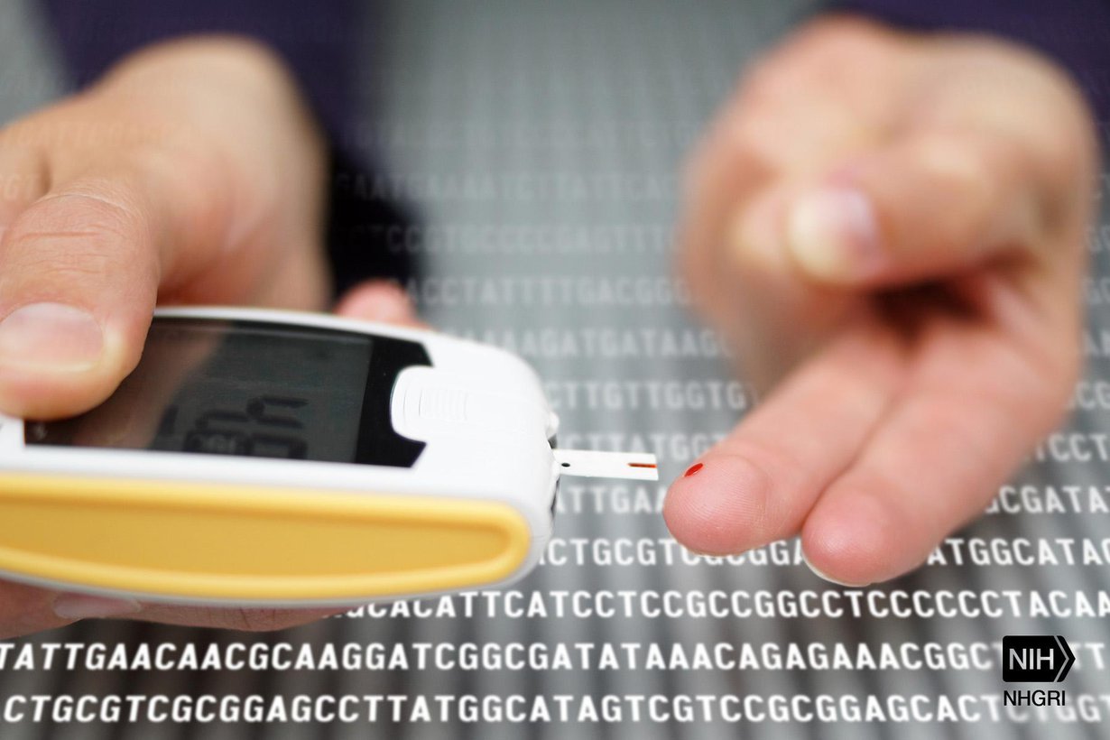 Diabetespotilaat voivat seurata verensokeriaan tällaisella laitteella. Kuva: Darryl Leja, NHGRI