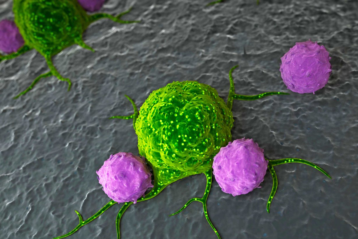 Elimistön puolustussolut käyvät syöpäsolun kimppuun. Kuva: Science Photo Library