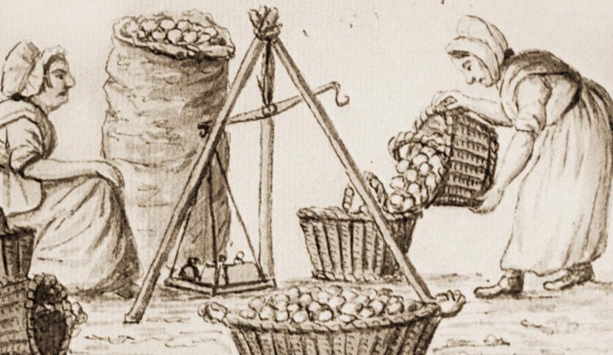 Irlantilaisia punnitsemassa perunoita Corkissa 1800-luvun alussa. Peruna oli keskeinen ravinto suurelle osalle Irlannin väestöä 1800-luvulla. Piirros on teoksesta The Irish World. Kuva: <span class="photographer">Sampson Towgood Roch</span>