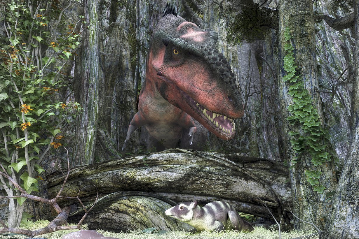 Muinaiset nisäkkäät osasivat piiloutua tyrannosaureilta. Kuva: SPL/MVPhotos