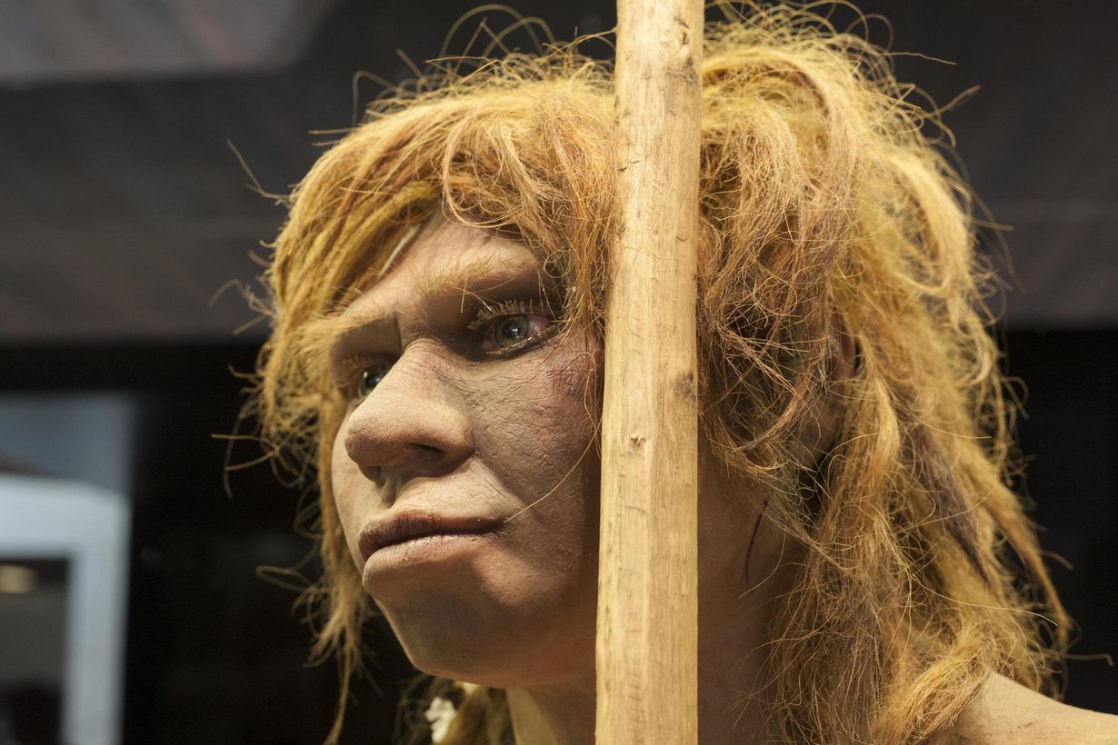 Tältä näyttää neandertalilaisnainen Madridin arkeologisen museon hahmotelmassa. Kuva: Juan Aunion, Shutterstock