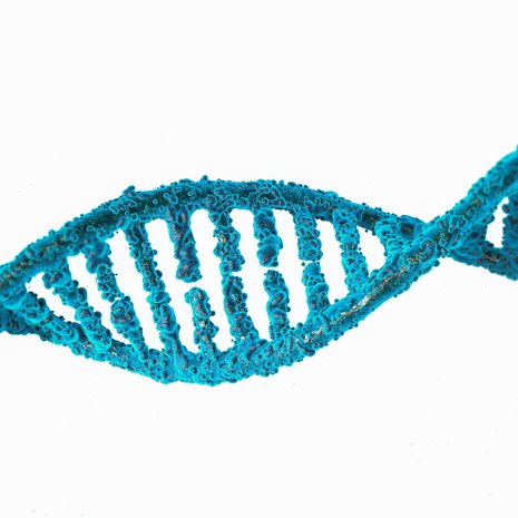 Dna sai lisäosia. Kuva: <span class="photographer">Shutterstock</span>