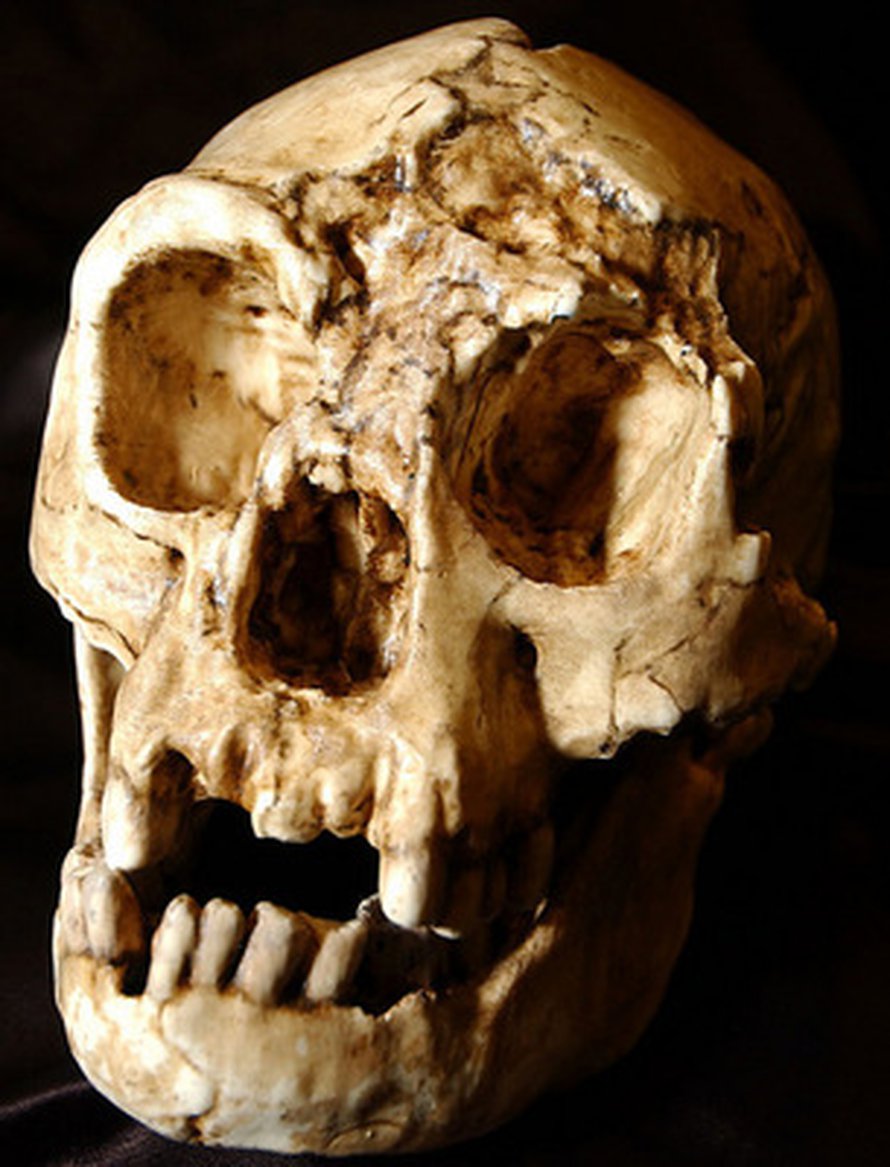 Kuva: <span class="photographer">Robert Boston.
</span>