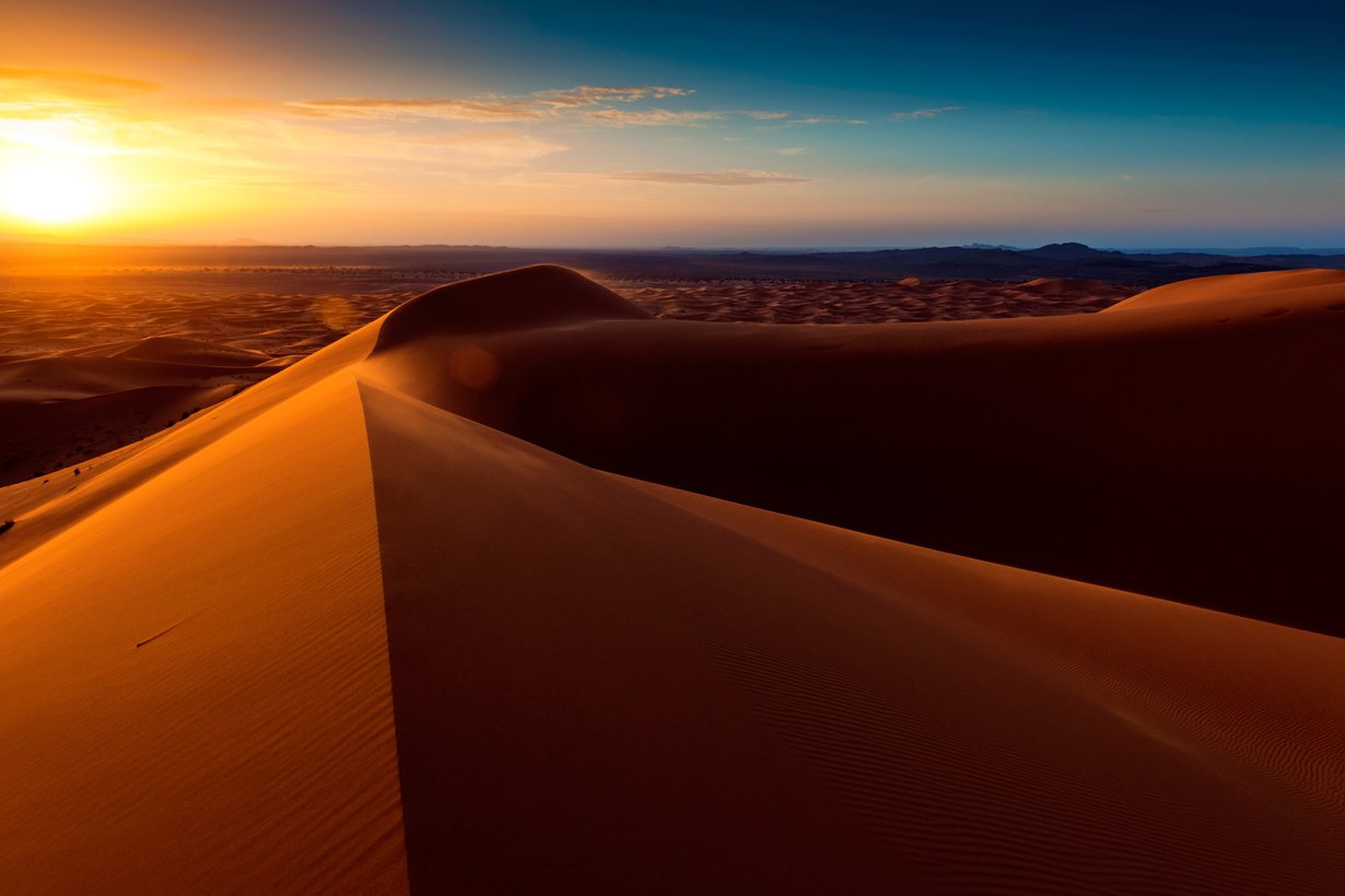 Saharan megadyynit kohoavat jopa 300 metriin, mutta jyvät eivät kelpaa betonin valmistamiseen. Kuva: Getty Images