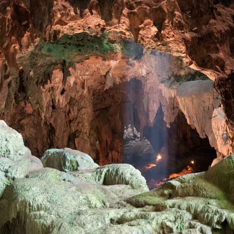 Uusi laji löytyi Callaon luolasta. Kuva: <span class="photographer">Callao Cave Archaeology Project</span>