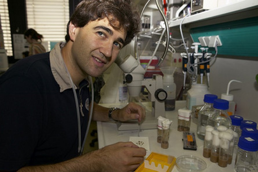 Emmanuel Caussinuksen kuvasi Marietta Schupp (Photolab, EMBL).