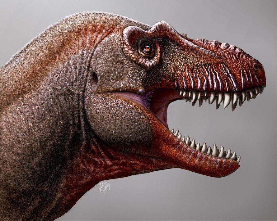Taiteilijan näkemys kymmeniä miljoonia vuosia sitten Kanadassa eläneestä Thanatotheristes degrootorum -dinosauruksesta.