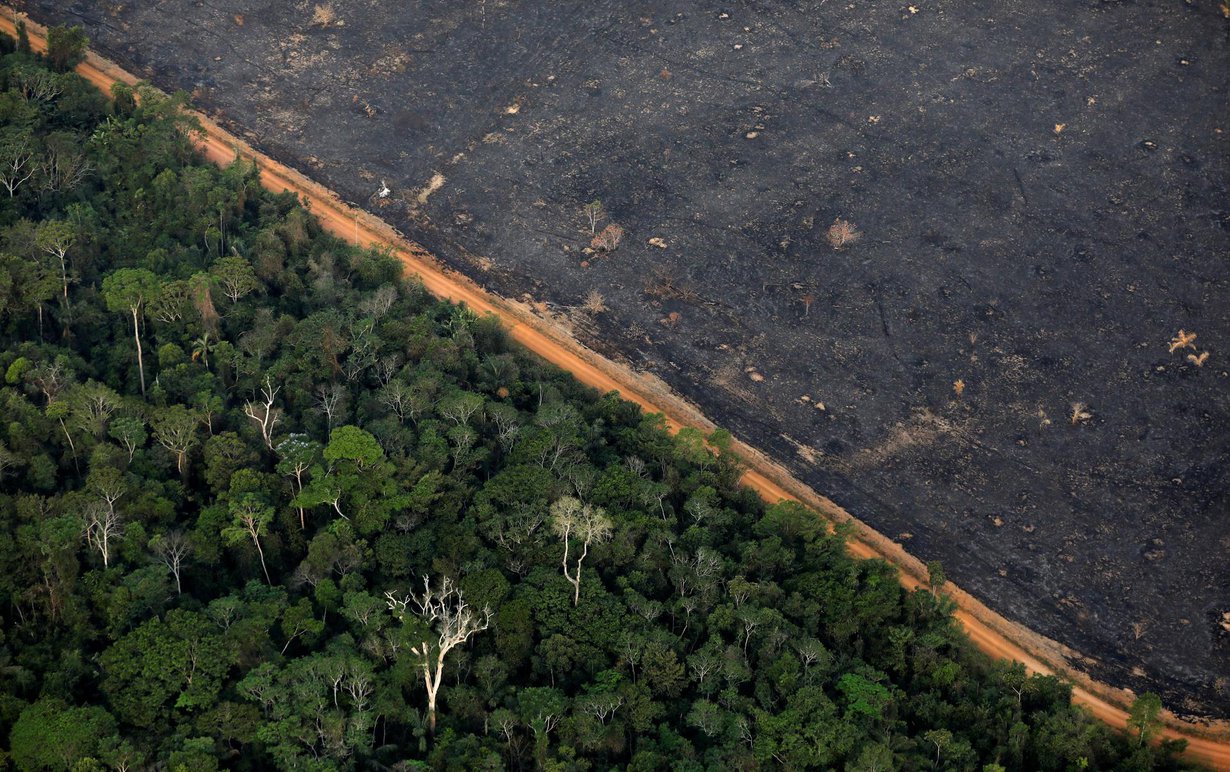 Amazonin metsäkato voi lopulta johtaa muutoksiin kohti savannia. Kuva: Bruno Kelly / Reuters