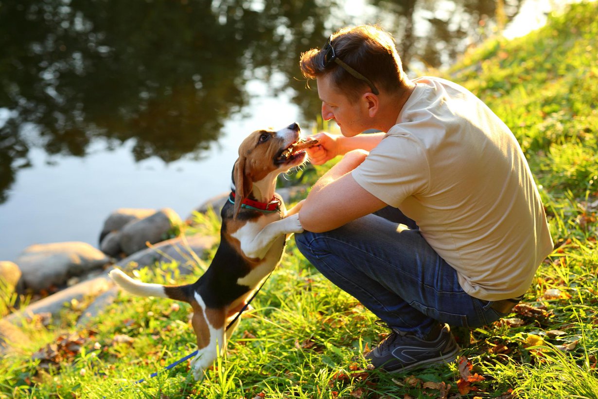 Koiraihmiseksi voi syntyä. Kuva: Shutterstock