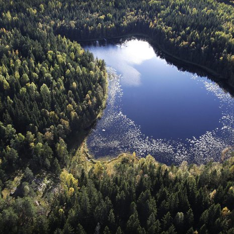 Tämän kokoisilla järvillä ei juhlittu kanadalaisessa järvivertailussa. Bisajärvi Sipoonkorvessa on kooltaan noin 400 aaria. Kuva: <span class="photographer">Christian Westerback</span>