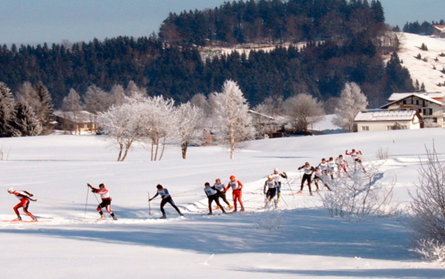 Kuva: <span class="photographer">Wikimedia Commons</span>