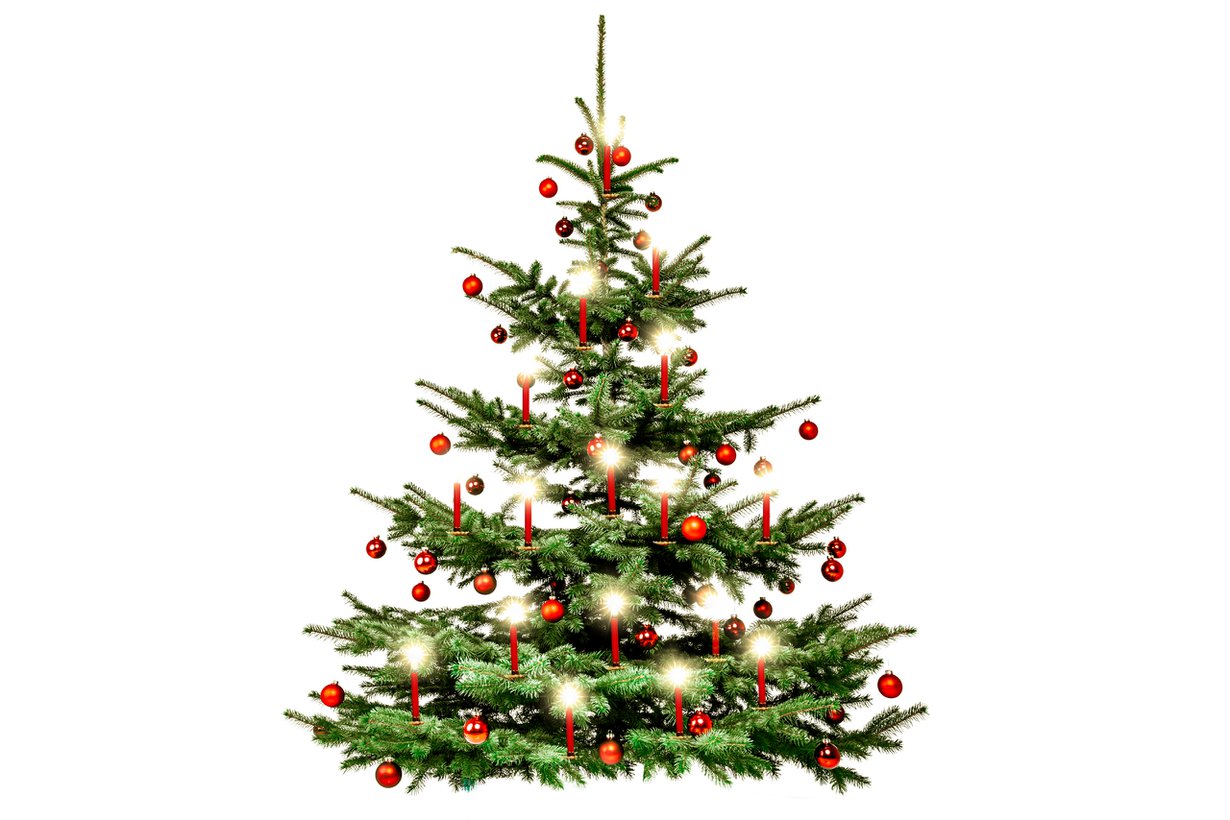 Koristeltu puu toi taloon onnea ja terveyttä. Kuva: Shutterstock
