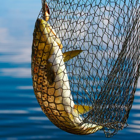 Ihminen on tehnyt osuutensa. Kuva: <span class="photographer">Shutterstock</span>