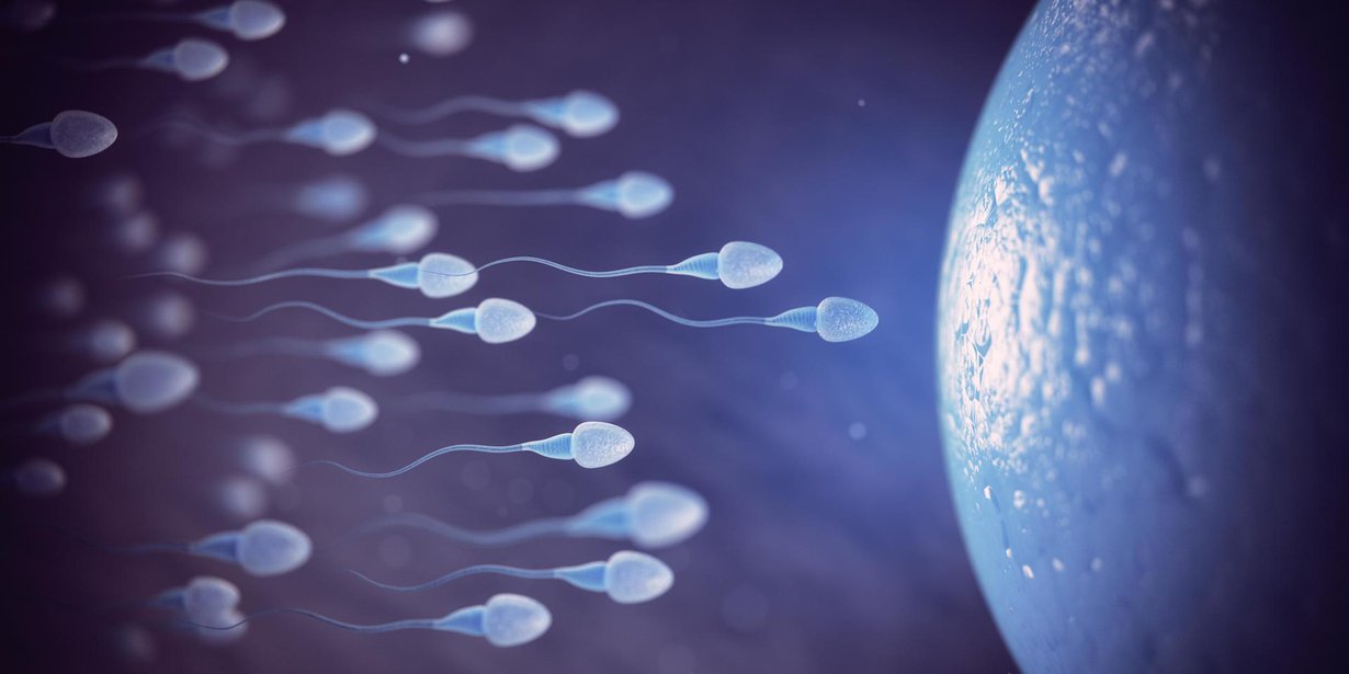Eläinkokeissa tutkijat pystyivät peukaloimaan siittiöiden uintikilpailua poikia suosivaksi. Kuva: Shutterstock