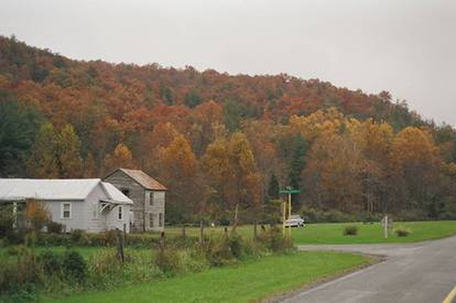 Virginialaisruskaa. Kuva: <span class="photographer">Martha Eppes</span>