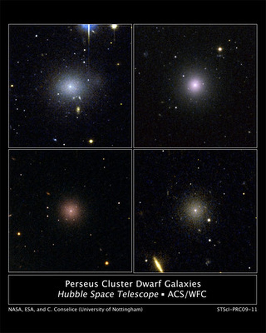 Nämä Hubblen kuvaamat kääpiögalaksit ovat selvinneet ehjinä Perseuksen levottomassa sydämessä.
Kuva: <span class="photographer">NASA, ESA, and C. Conselice and S. Penny (University of Nottingham)</span>