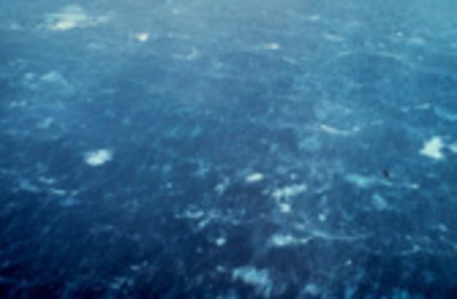 Kuva: <span class="photographer">NOAA.</span>