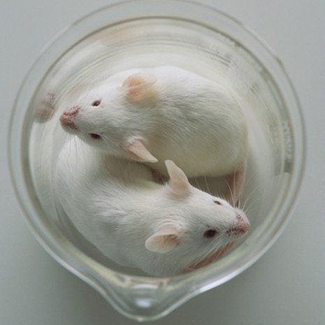 Kuva: <span class="photographer">Corbis RF.</span>
