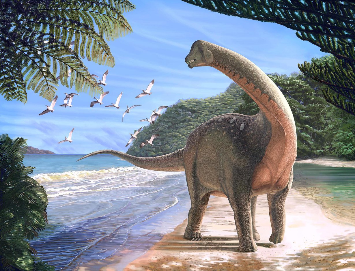 Mansourasaurus shahinae oli pitkäkaulainen kasvinsyöjä. Kuva: Andrew McAfee, Carnegie Museum of Natural History
