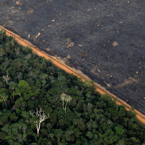 Amazonin metsäkato voi lopulta johtaa muutoksiin kohti savannia. Kuva: <span class="photographer">Bruno Kelly / Reuters</span>