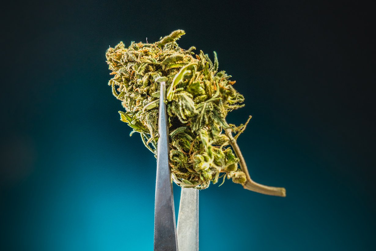Vaikka jotkut potilaat hyötyvät kannabiksesta, lääkevalmisteiden teho on keskimäärin vaatimaton. Kuva: Getty Images