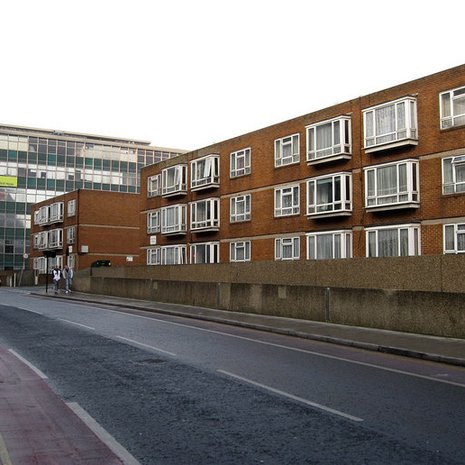 Kuva: <span class="photographer">Simon Carey / Wikimedia Commons</span>