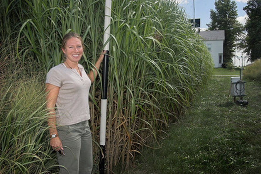 Kuva: <span class="photographer">Illinoisin yliopisto.</span>