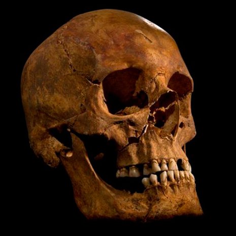 Richard III:n jäänteet löytyivät kaksi vuotta sitten parkkipaikan alta Leicesteristä. Kuva: <span class="photographer">Leicesterin yliopisto </span>