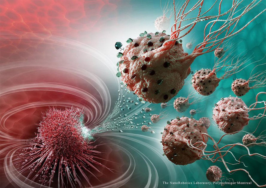 Magneettinen bakteeri kuljettaa lääkkeet kasvaimeen. Kuva: <span class="photographer">Nanorobotics Laboratory / Polytechnique Montreal</span>