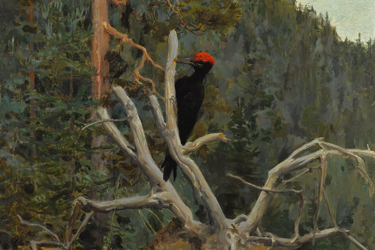 Yhtä ja samaa ei ollut tarvetta sanoittaa. Kuva: Akseli Gallen-Kallela, Palokärki, 1894/Wikimedia Commons