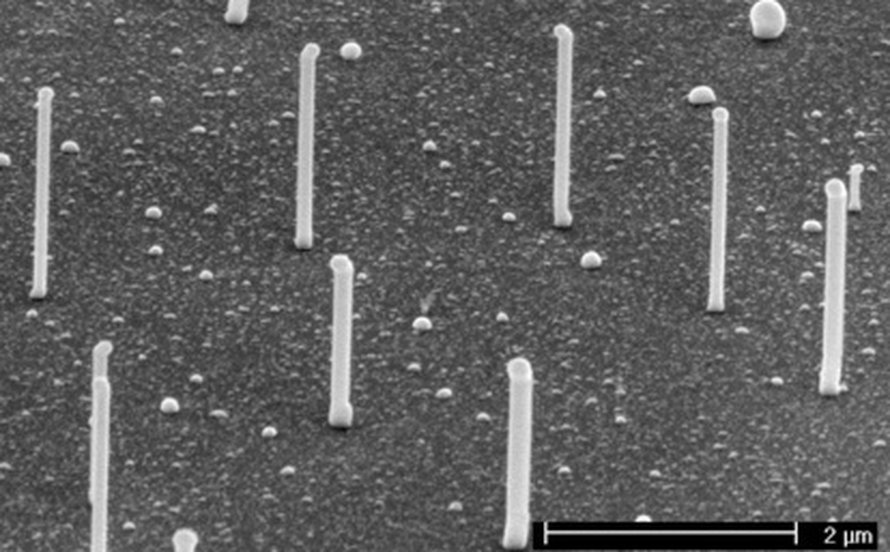 GaP-nanojohtimia kasvaa piialustalla. Kuva: <span class="photographer">Phillips</span>