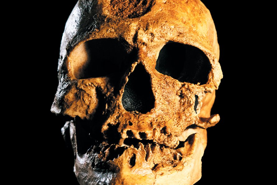 Alkuperäiset eurooppalaiset saattoivat hävitä kokonaan, vihjaa fossiileista kerätty mitokondrion dna. Kuva: <span class="photographer">Science Photo Library / MVPhotos</span>