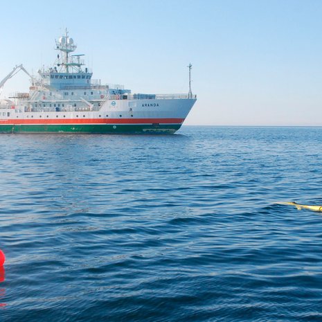 Uivelo kuuluu niin kutsuttuihin robottiliitimiin, vaikka sen tehtävänä onkin sukeltaa ja kerätä tietoa Itämeren veden tilasta pinnasta pohjaan. Kuva: <span class="photographer">Kimmo Tikka / Ilmatieteen laitos</span>