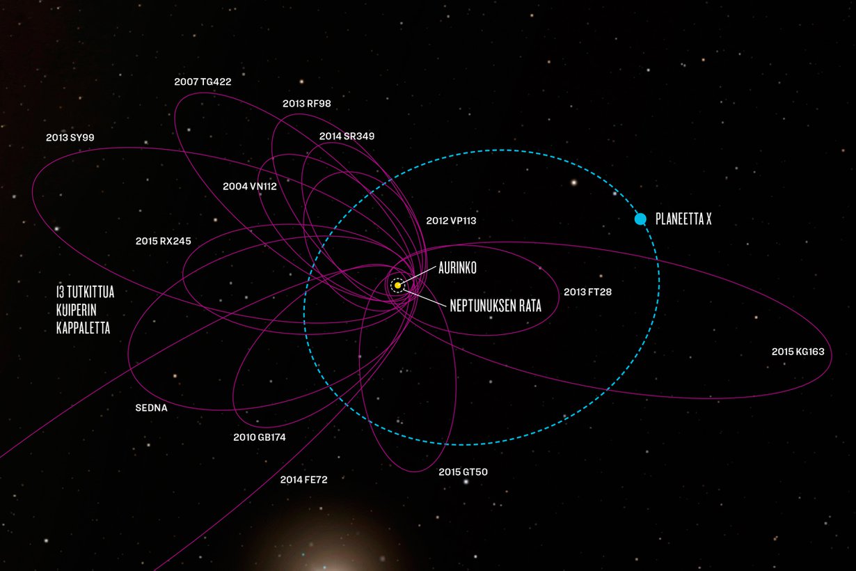 Kuiperin vyöhykkeen 13 tutkittua kappaletta kurvaavat kuin samaa rataa Auringon lähellä. Kumman kimpan voi selittää massiivinen planeetta. Grafiikka: JPL-Caltech/Robert Hurt ja Minor Planet Home Page/Andrew Lowe