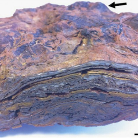 Stromatoliittirakenne saattaa kertoa elämästä miljardeja vuosia sitten. Kuva: <span class="photographer">Keyron Hickman-Lewis et al.</span>