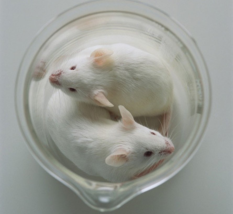 Kuva: <span class="photographer">Corbis RF.</span>