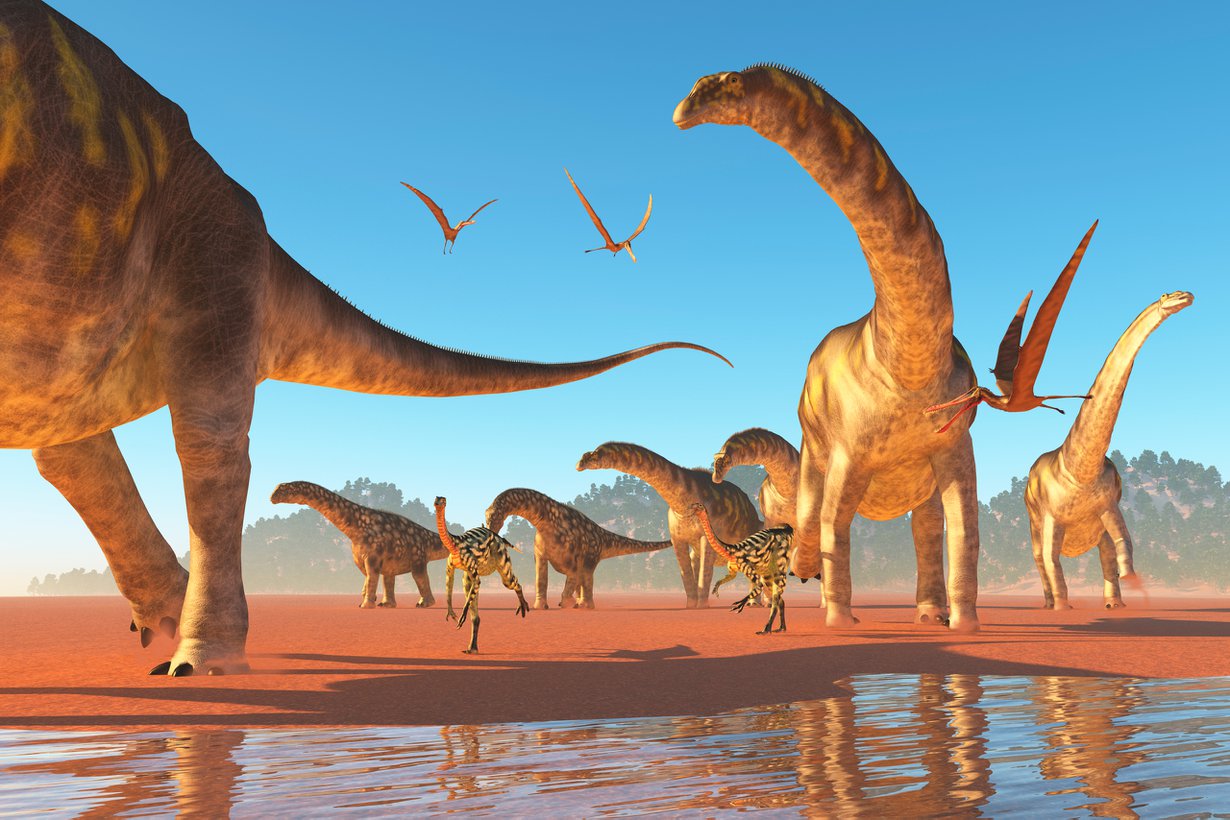 Ainakin sauropodit elivät sopivasti laumoissa. Kuva: Shutterstock