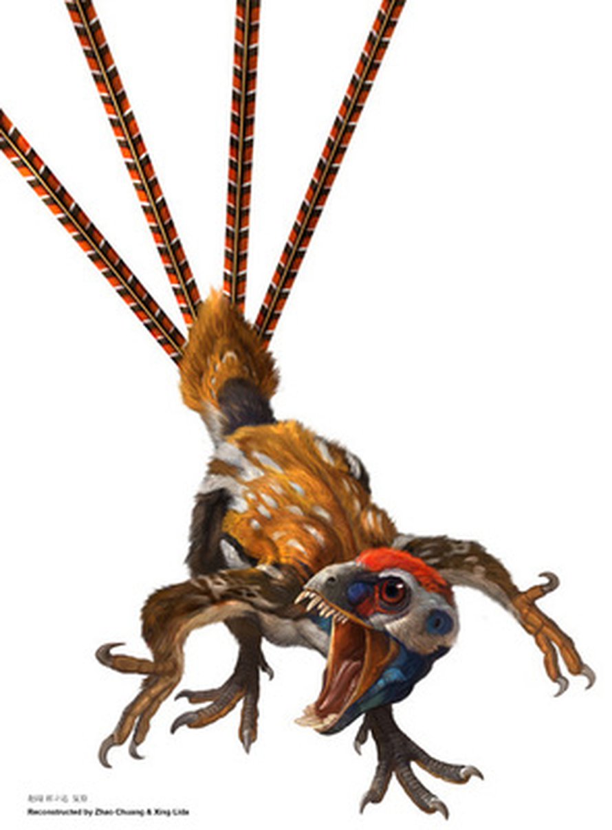 Epidexipteryx taiteilijoiden silmin. Kuva: <span class="photographer">Zhao Chuang & Xing Lida</span>