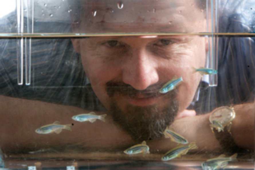 Houstonilaistutkija Gregg Roman tutki seeprakalojen oppimista.
Kuva: <span class="photographer">Thomas Shea
</span>