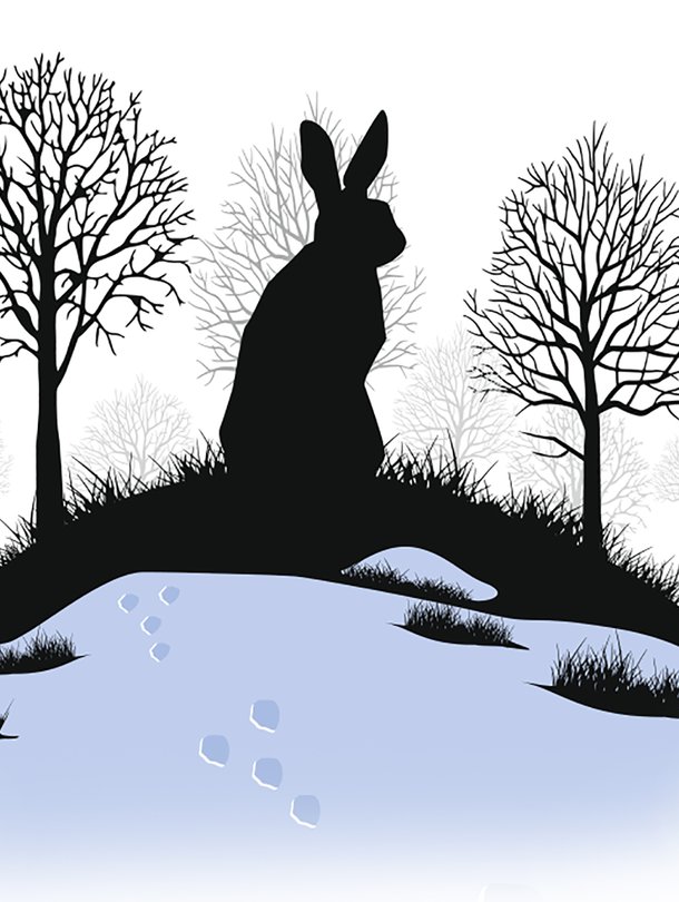 Kuvitus: Petri Rotsten