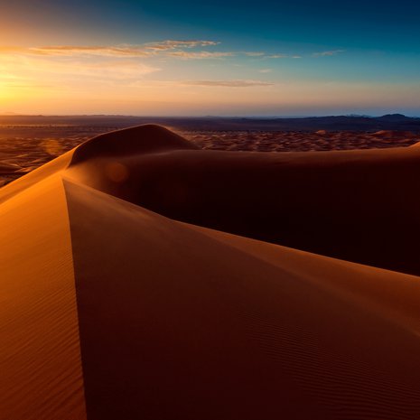 Saharan megadyynit kohoavat jopa 300 metriin, mutta jyvät eivät kelpaa betonin valmistamiseen. Kuva: <span class="photographer">Getty Images</span>