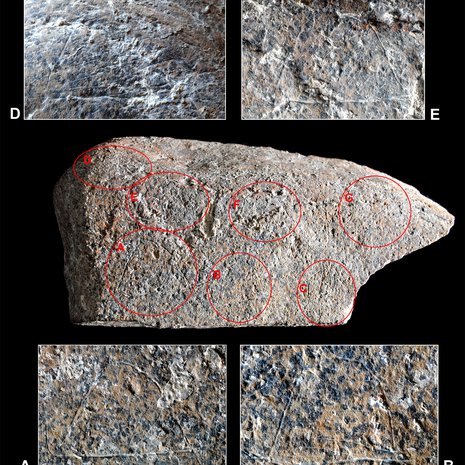 Taideteoksen yksityiskohdat on ympyröity punaisella. Kuva: <span class="photographer">Plos One</span>