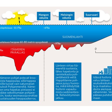 Kotilahti tervehtyy hitaasti, koska varsinaisen Itämeren vesi pitää länsipään pohjia hapettomina. Grafiikka: Pasi Salminen