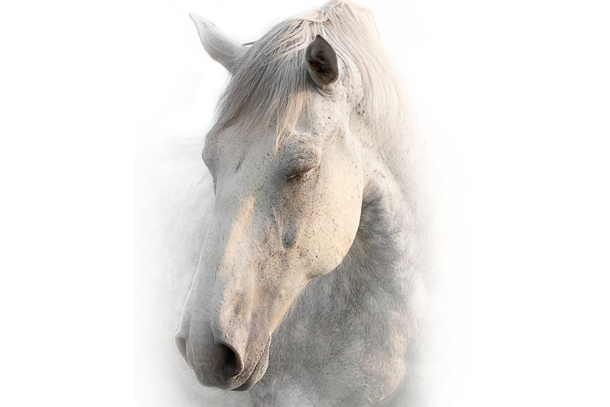 Pystyunet vaativat mekanisminsa. Kuva: Shutterstock